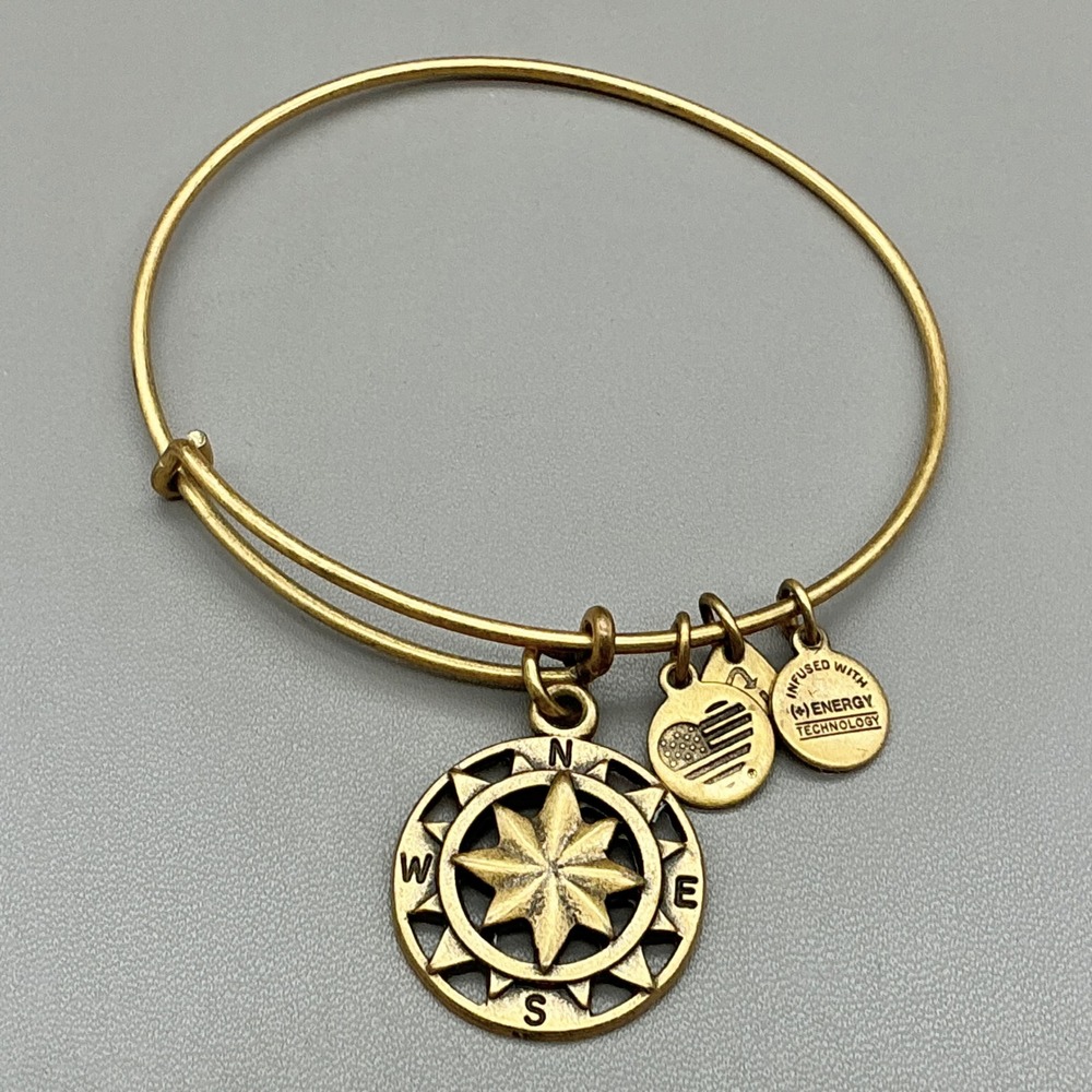 Alex And Ani Compass Bangle Bracelet Womens Gold Tone Expandable Charm Jewelry
